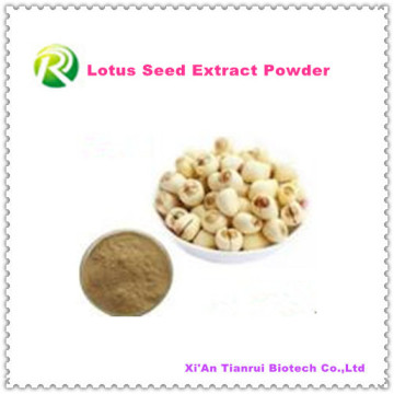 Polvo de alta calidad de la semilla del loto del extracto de la planta 100% natural